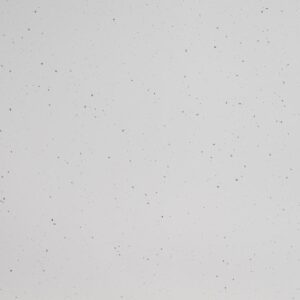 Hanex CT-001 FROSTY CONCRETE colour sample