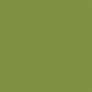 Hanex M-015 Matcha colour sample