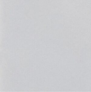 Hanex S-006 GREY colour sample