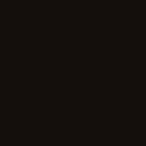 Hanex S-019 BROWN FEVER colour sample